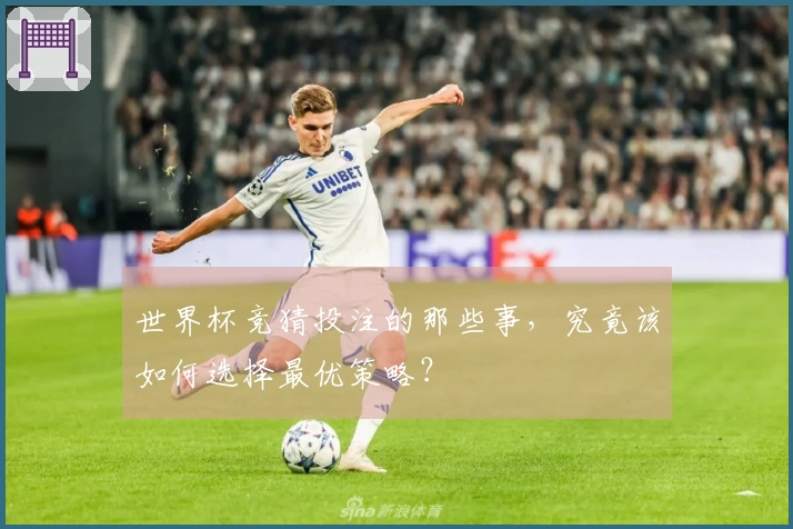 世界杯竞猜投注的那些事，究竟该如何选择最优策略？