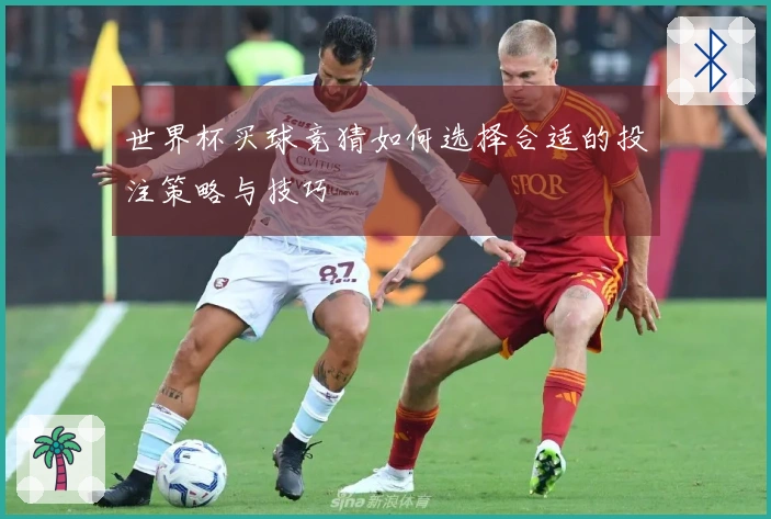 世界杯买球竞猜如何选择合适的投注策略与技巧