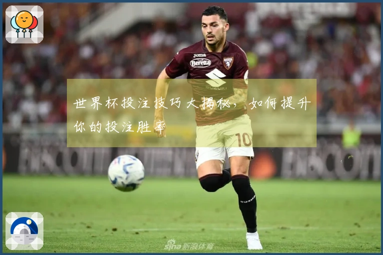 世界杯投注技巧大揭秘，如何提升你的投注胜率