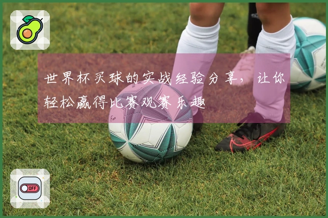 世界杯买球的实战经验分享，让你轻松赢得比赛观赛乐趣