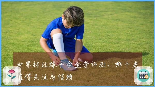 世界杯让球平台全景评测，哪个更值得关注与信赖