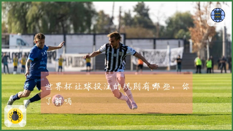 世界杯让球投注的规则有哪些，你了解吗
