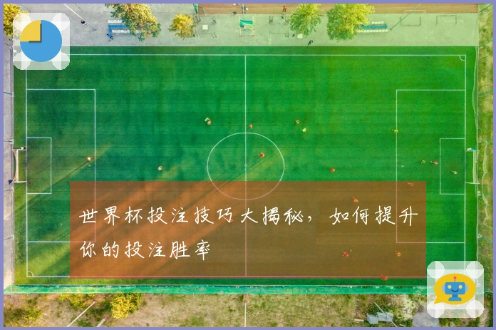 世界杯投注技巧大揭秘，如何提升你的投注胜率