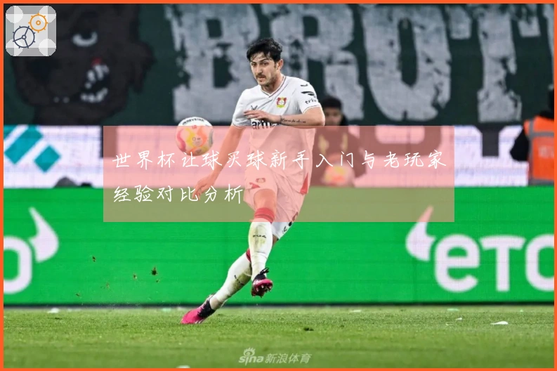 世界杯让球买球新手入门与老玩家经验对比分析