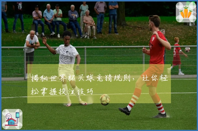 揭秘世界杯买球竞猜规则，让你轻松掌握投注技巧