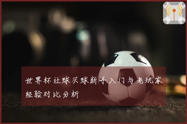 世界杯让球买球新手入门与老玩家经验对比分析