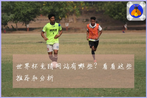 世界杯竞猜网站有哪些？看看这些推荐和分析