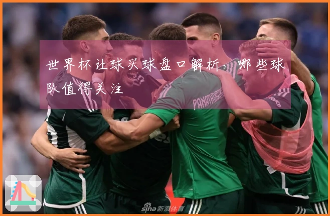世界杯让球买球盘口解析，哪些球队值得关注